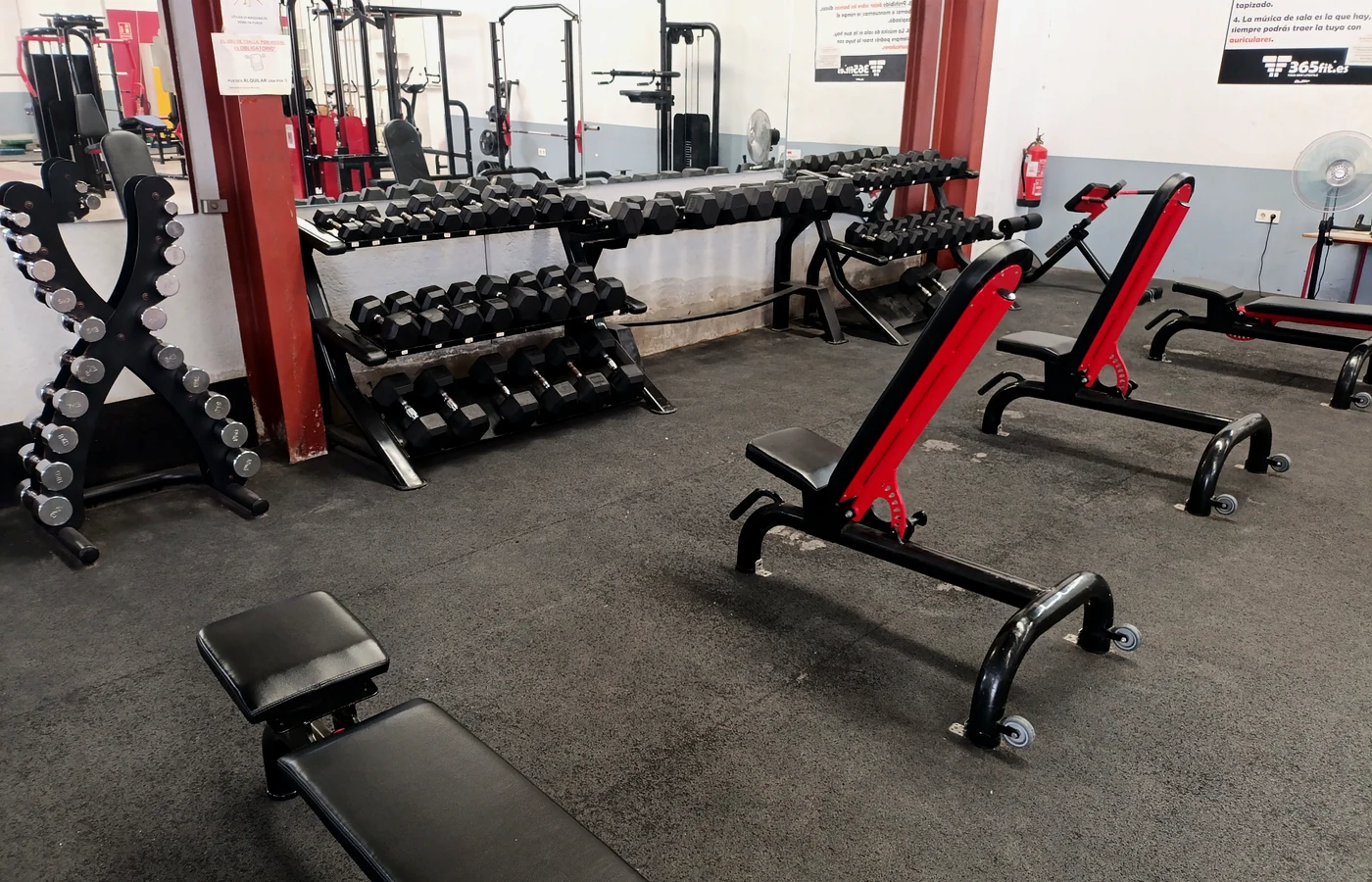 Sala 365fit